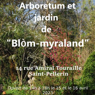 Blom affiche