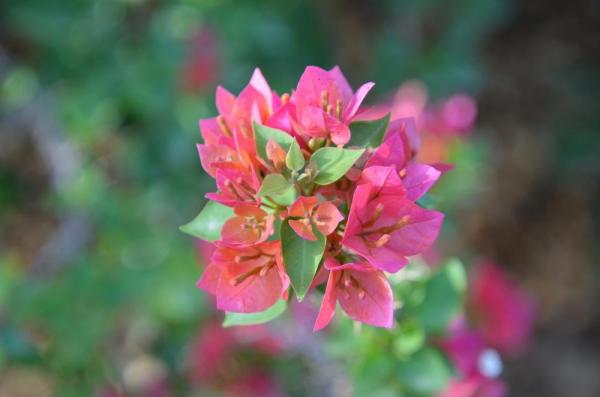 Photo22